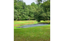 4438 N Hwy 49, Mount Olive, MS 39119