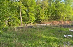 4421 Leeco Rd, Wendover, KY 41775