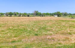 Tbd LCR 469, Mexia, TX 76667