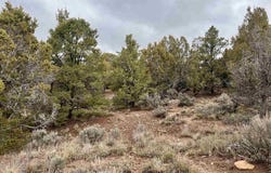 2114 County Road 318, Ignacio, CO 81137