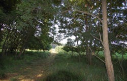 45 Spring Hill Rd Road, Richland Center, WI 53581-0000