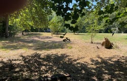 1005 SERO ESTATES Drive, FORT WASHINGTON, MD 20744