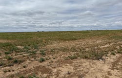 3000 County Road 5, Southland, TX 79364