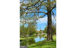 317 W COLLEGE TERRACE, FREDERICK, MD 21701