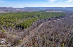 Lower Rockwood Rd Lot 16, Rockwood, TN 37854