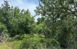500 Block Lower Tonk Valley Road, Graham, TX 76450