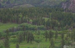 14884 Rist Canyon Rd, Bellvue, CO 80512