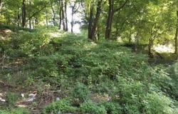 415 N 9TH Street, POTTSVILLE, PA 17901