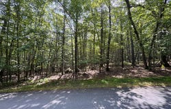 Lot 557 Eastwood Circle, Hawley, PA 18428