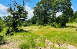 Raw Land Bengal Rd., Leflore, OK 74942
