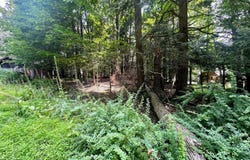 639 Bear Rock Road, Lake Ariel, PA 18436