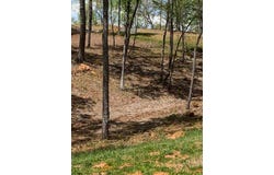 Lot #6 Lake Top Lane, Ellijay, GA 30540