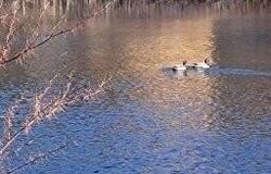 14 Arab Road, Lee, ME 04455