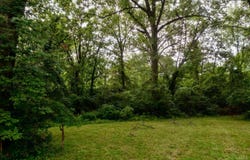 1 Buckwheat Road, Milford, OH 45150
