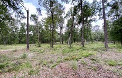 Vacant NE Bellville Road, Pinetta, FL 32350
