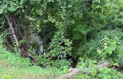 15255 Bailey Road, Bailey, MI 49303
