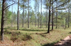 000 Watson Road East TRACT 11, Forsyth, GA 31029