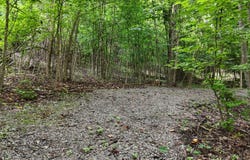 5671 Willow Point Lane, Harrison, TN 37341