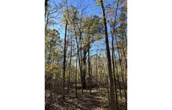 1235 EDGE Lane, Tignall, GA 30668