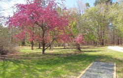 1188 Turner Road, Creedmoor, NC 27522