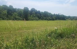 Lot 3 Co Rte 91, Ellisburg, NY 13636