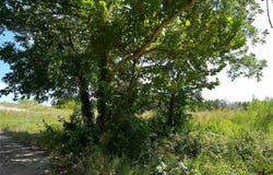 Serenity Dr lot: 29, Bertram, TX 78605