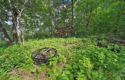 Tbd Pine Mountain Lake Road NW, Backus, MN 56435
