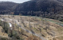 12 Tranquil Ln, Glenwood, AR 71943