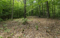 TBD Taylor Road, Duxbury, VT 05660