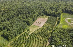 39 Acres 55th Street, Pullman, MI 49450