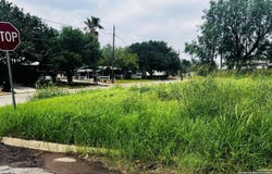S Walnut, Pearsall, TX 78061