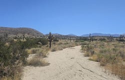 Avenue X / 136th St E, Pearblossom, CA 93553