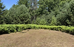 N Coates Highway, Harrietta, MI 49638