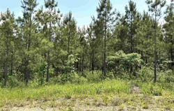 lot 27 Grant County Road 763, Sheridan, AR 72150
