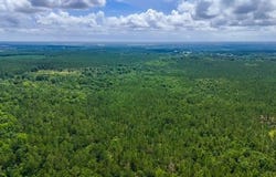 1990 River Road, Bainbridge, GA 39817