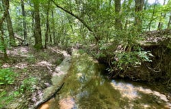 0 County Road 42, Tunnel Springs, AL 36471