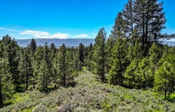 Lot 3 Hideout Road, Donnelly, ID 83615