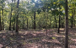 TBD Flathead Road, Gravois Mills, MO 65037
