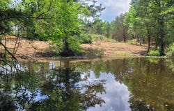 484 Naples Ln., Arab, AL 35016