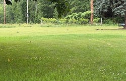 15255 BAILEY ROAD, BAILEY, MI 49303