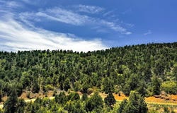 11958 Cielo Grande Rd, Weston, CO 81091