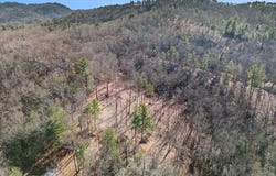 Seed Tick Road, Clayton, GA 30525