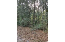 NE 163RD PLACE, CITRA, FL 32113