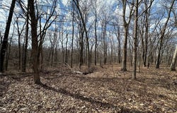 Lot 3 - 2.74 acres  NW Deer Run  AVE, Bentonville, AR 72712