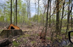 3705 Alexander Road, Randolph, OH 44201