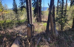 1602 Bear Trail Loop, Donnelly, ID 83615