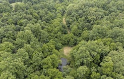 55 Thompson Hollow Road, Taft, TN 38488