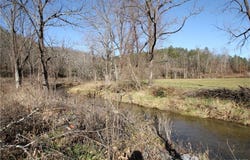 199 Sandy Mush Creek Road, Leicester, NC 28748