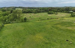.0 County Road 249, Bloomfield, MO 63825