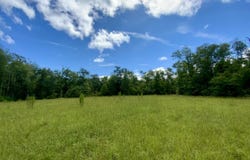 1069 N Salt Road, Monticello, FL 32344